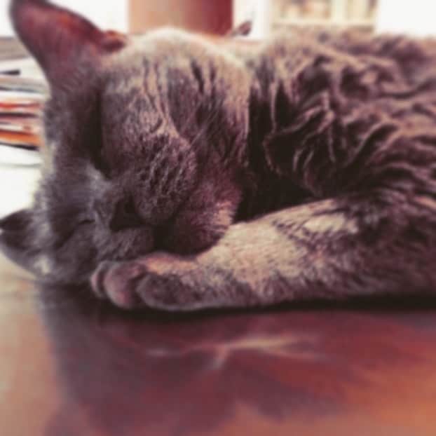 チキン南蛮カレーのルウ王子のグルメインスタ