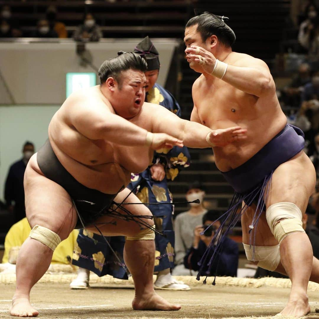 日本相撲協会さんのインスタグラム写真 - (日本相撲協会Instagram)「大相撲十一月場所、10日目。 照ノ富士の吊り出し、北勝富士と宝富士の取り直しの一番など迫力ある取組が目白押し‼️  1敗は貴景勝、志摩ノ海。  明日も翔猿-隆の勝、琴勝峰-貴景勝など好取組が目白押し！ぜひ国技館でご覧ください👀  @sumokyokai  #大相撲 #sumo #相撲 #力士 #お相撲さん #japanphoto #sumowrestlers #japanculture  #十一月場所 #11月場所 #東京」11月17日 20時08分 - sumokyokai