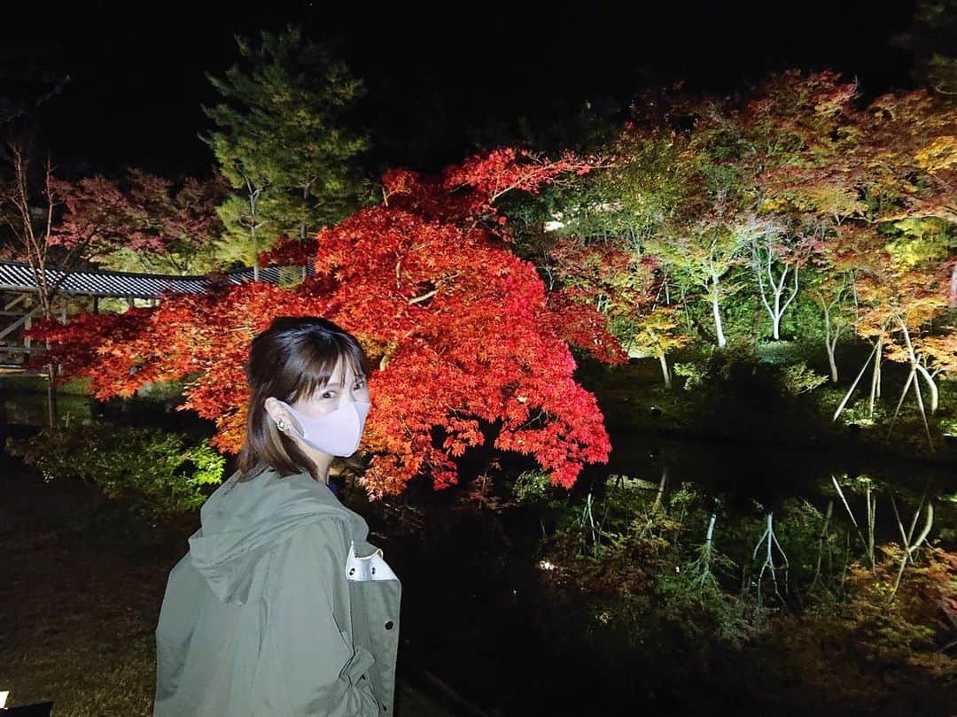 上坂由莉のインスタグラム：「﻿ \ \ 紅葉🍁 / /﻿ ﻿ 紅葉を観に高台寺へ🍁👟﻿ 最近暖かい日も多かったから﻿ 完全に色づいてるわけではなかったけど﻿ もう少し長く紅葉楽しめて思うと嬉しい🥰﻿ ﻿ ﻿ 木によって、葉っぱによって、陽当たりによって﻿ 紅葉の色づき方も真っ赤だけではなく、黄色やオレンジ、緑﻿ 様々で凄く素敵でした〜🥰🍁﻿  紅葉観ながら" みんな違ってみんないい "が﻿ 即座に頭に思い描かれた心地良い時間でした⏳﻿ ﻿ ﻿ #紅葉 #高台寺 #京都 #お出かけ﻿ #みんな違ってみんないい #ヨガ哲学」
