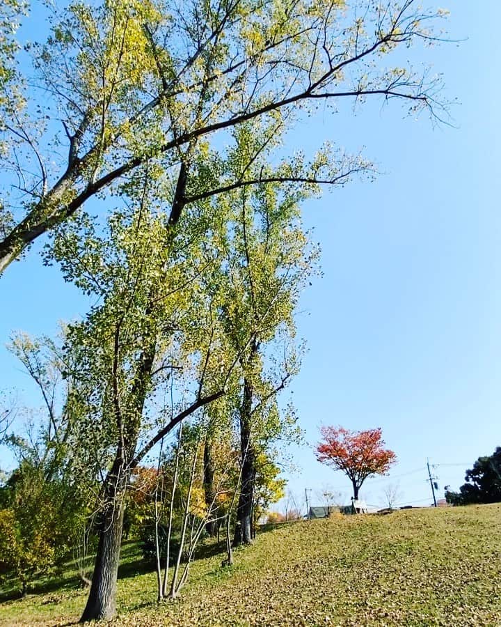 西川忠志のインスタグラム