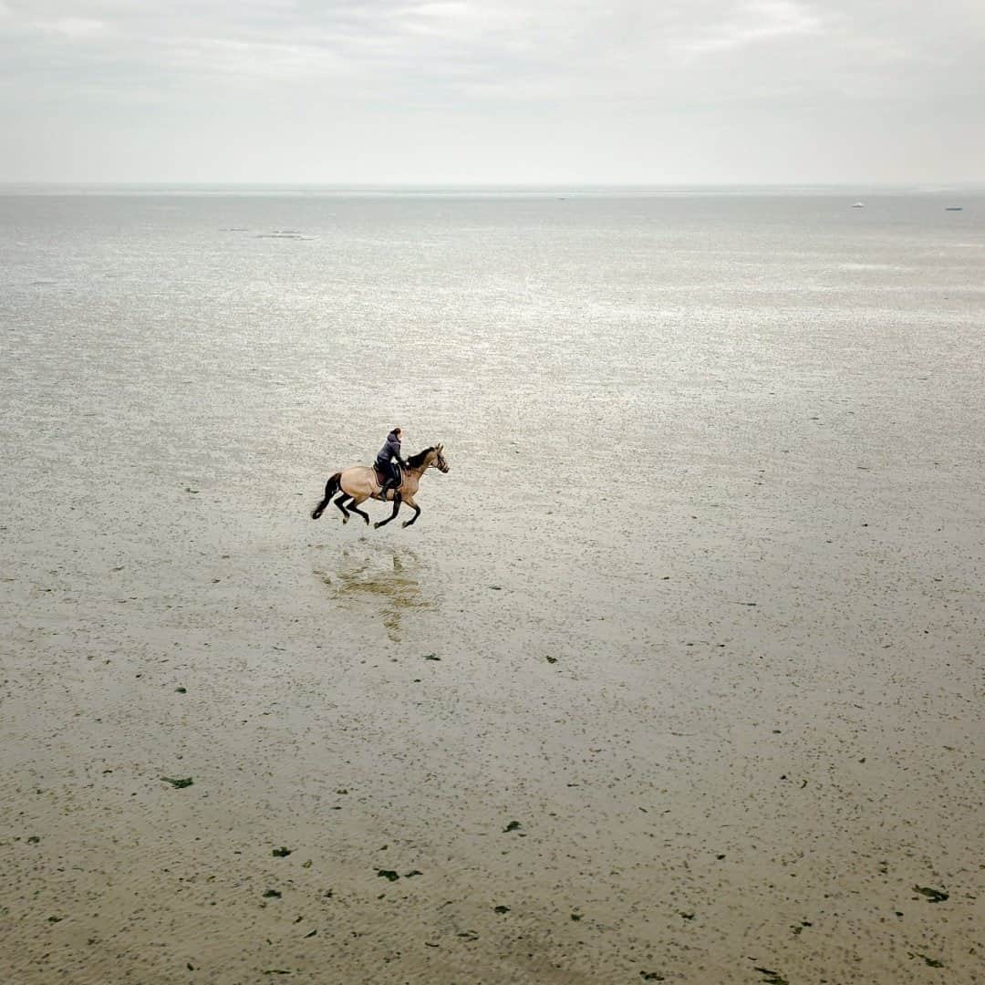 National Geographic Travelさんのインスタグラム写真 - (National Geographic TravelInstagram)「Drone photo by @Justin.Jin and Jinee Jin / A Dutch woman rides her horse on the seabed off the coast of Zeeland during low tide. Zeeland, the westernmost and least populous province of the Netherlands, consists of a number of islands and peninsulas that are below sea level (hence the name, “sea” land). Follow @justin.jin for more stories and images from around the world. #zeeland #netherlands #holland #justinjin」11月17日 20時39分 - natgeotravel