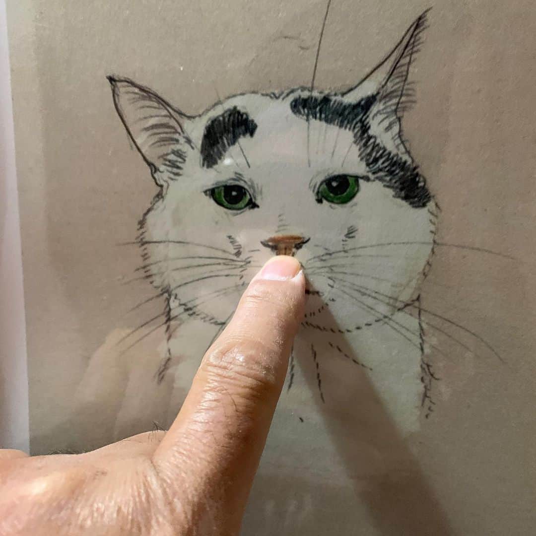 Kachimo Yoshimatsuさんのインスタグラム写真 - (Kachimo YoshimatsuInstagram)「毎朝出かける時にこの　@tata_biserova  さんの描いてくれたナナクロの絵の鼻筋を指でなぞるのが習慣になっている。 #うちの猫ら #nanakuro #ナナクロの絵 #猫 #ねこ #cat #ネコ #catstagram #ネコ部 http://kachimo.exblog.jp」11月17日 20時39分 - kachimo