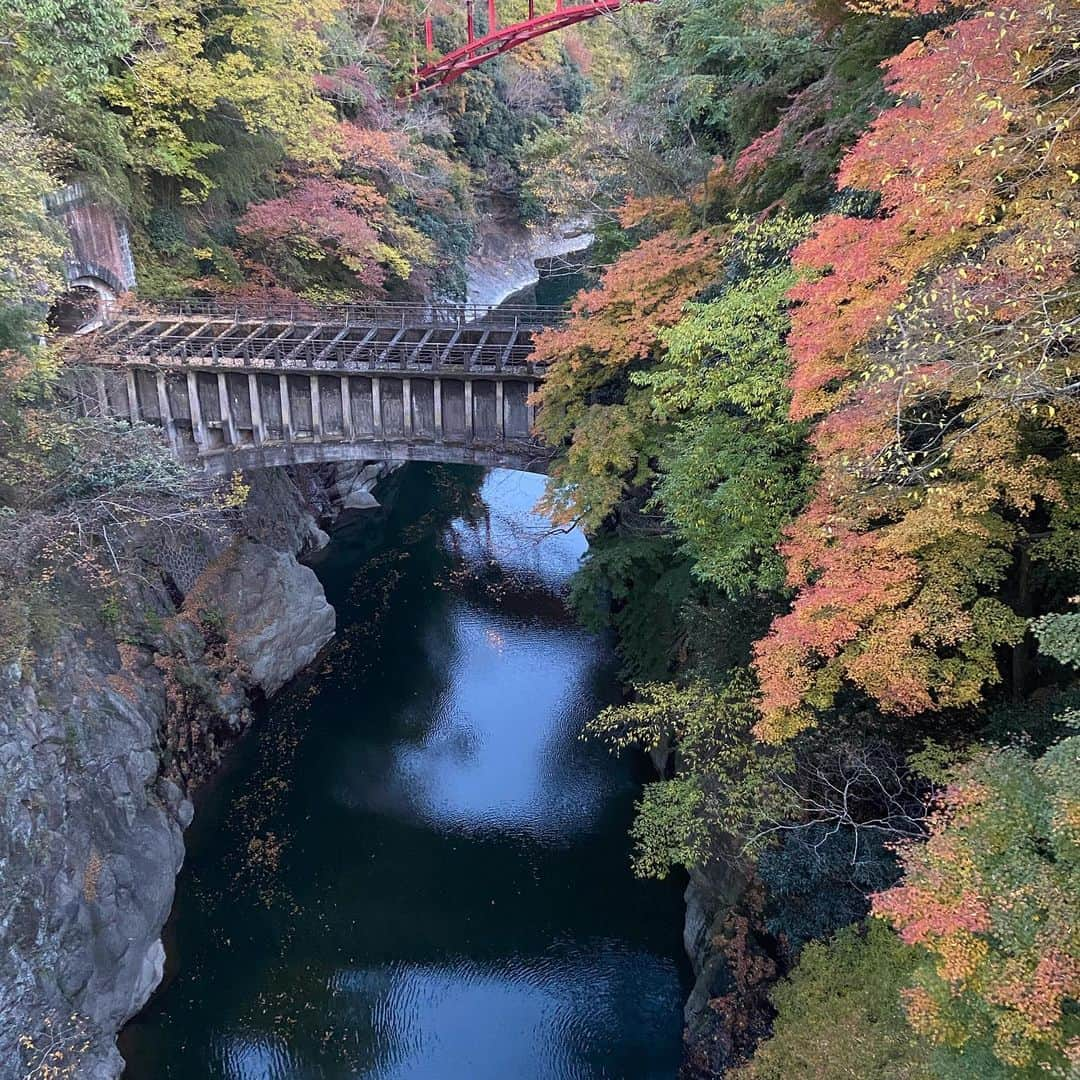 野牛あかねのインスタグラム