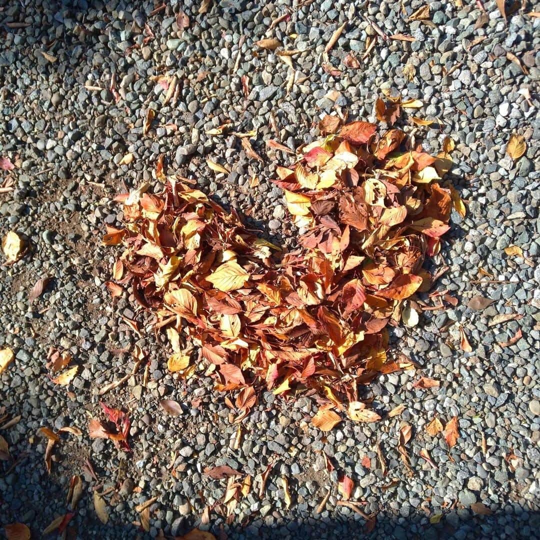 【公式】オーシャンリゾートホテル マホロバ・マインズ三浦のグルメインスタ