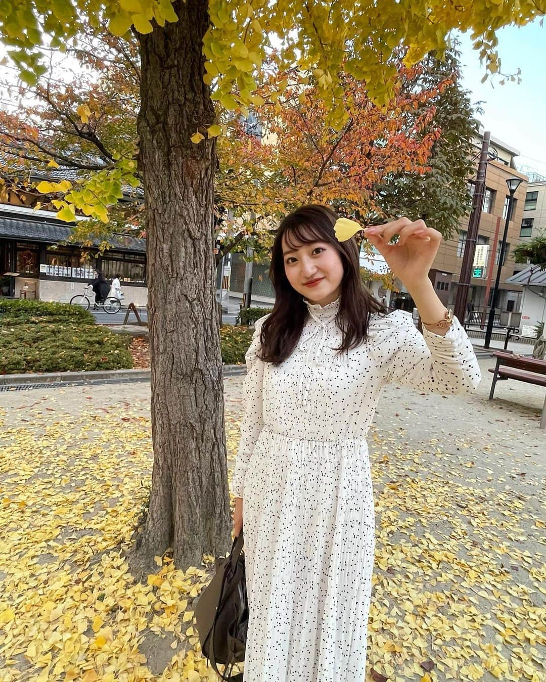 華山友希のインスタグラム：「先日、ふら〜っと歩いている途中に 銀杏の葉を見つけて 思わず拾ってしまいました☺️🍁笑  投票期間も残り2回となりました。 プロフィールのURLからの投票、どうかよろしくお願いします🙇🏻‍♂️😿  そして、ファイナルイベント 11月22日12-15時　showroomでの配信です！ ファイナルに向けて、皆それぞれ精一杯頑張っておりますので、是非アプリをインストールして見に来てくださると嬉しいです🙌🏻  #ミスコン#ミスキャン#ミスキャンパス同志社#ミス同志社#kyoto#京都#紅葉」