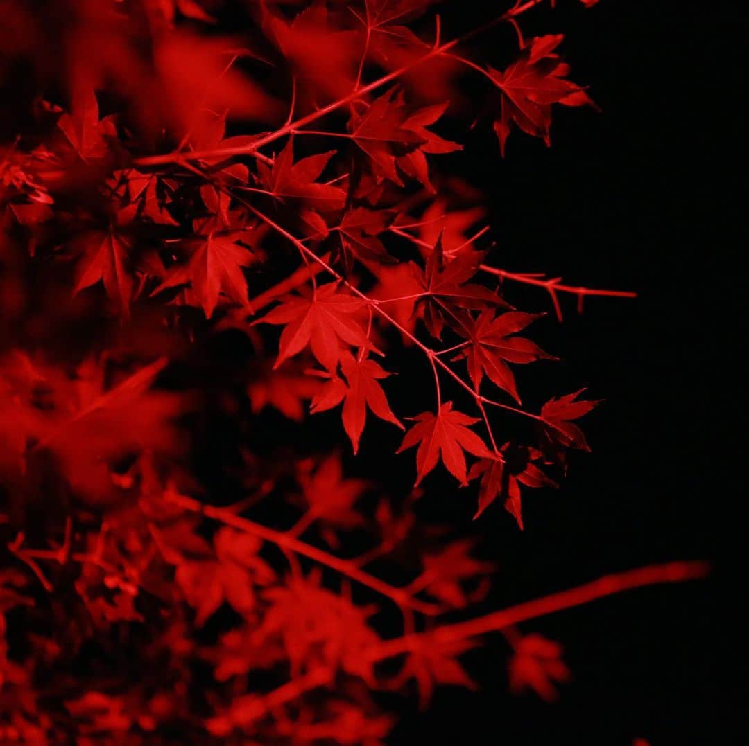 八芳園のグルメインスタ