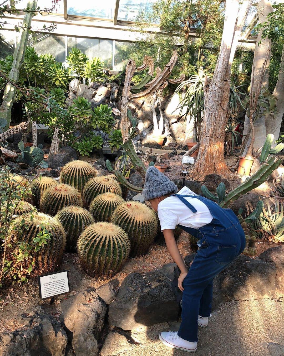 おーせのグルメインスタ