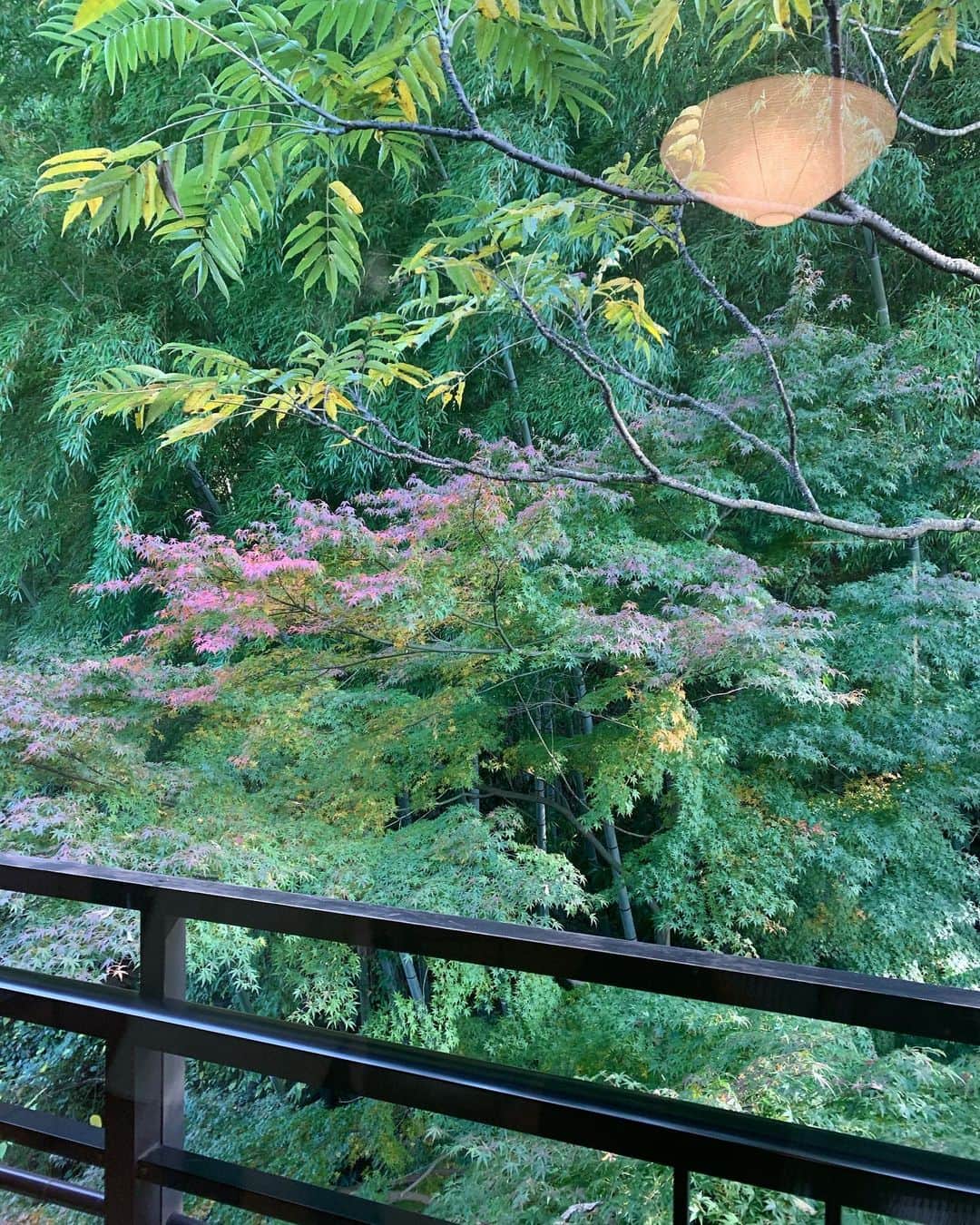 Naomiのグルメインスタ