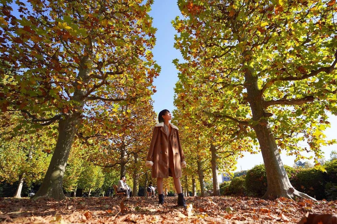なみなみのインスタグラム：「♪ 🍁」