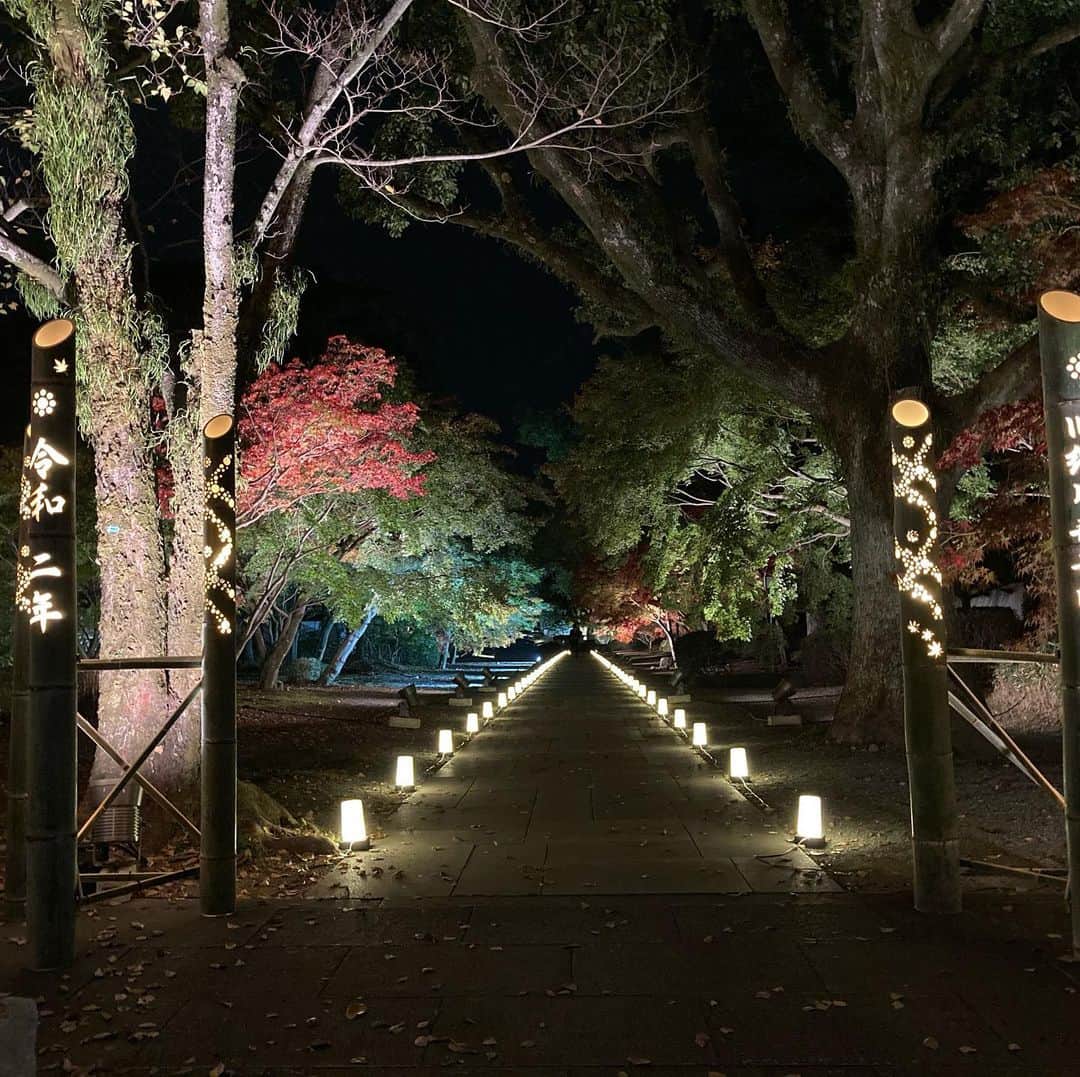熊本城のインスタグラム：「旧細川刑部の紅葉ライトアップ🍁2020準備完了。 11月20日からです。 皆様是非お越しください。  #kumamoto #japan #japantrip #instagood #instagram #kumamotocastle #紅葉ライトアップ #旧細川刑部邸」
