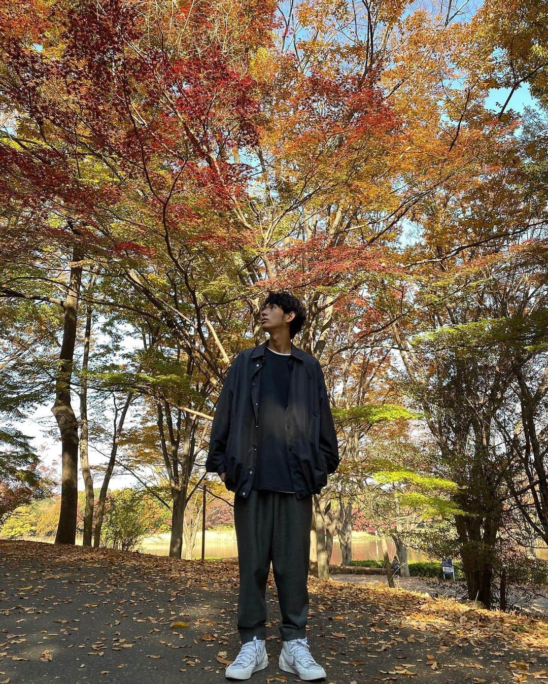 片山良平のインスタグラム：「紅葉🍁🍁🍁 #11月中旬 #今年もあと1ヶ月半 #一瞬を物語に  #変えよう #紅葉」