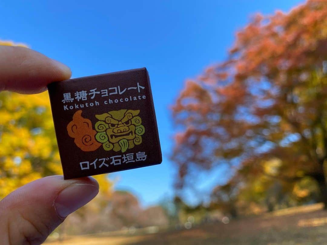 桜帆ゆかりさんのインスタグラム写真 - (桜帆ゆかりInstagram)「さおりんと美希とプリンセスと👸🏼🍁公園の秋色が綺麗にグラデーションでお天気も良くて🤩✨ ガッツリは動いてないけど太陽の暖かさを感じられて心地よかった〜🧘‍♀️  この日もプリンセスがひたすら可愛いくて可愛くて…癒されました💘🙈  さおりんがお裾分けしてくれたこのチョコ…外で食べたらまた格別で！10枚は余裕で食べれる🥰  また公園でのんびりゴロゴロしたいなぁーー🍁✨  #公園　#秋　#👸🏼　#pink似合いすぎ💓　#ロイズ石垣島黒糖チョコレート  #石垣島いつか行ってみたいなぁ」11月17日 22時18分 - chahoroo93