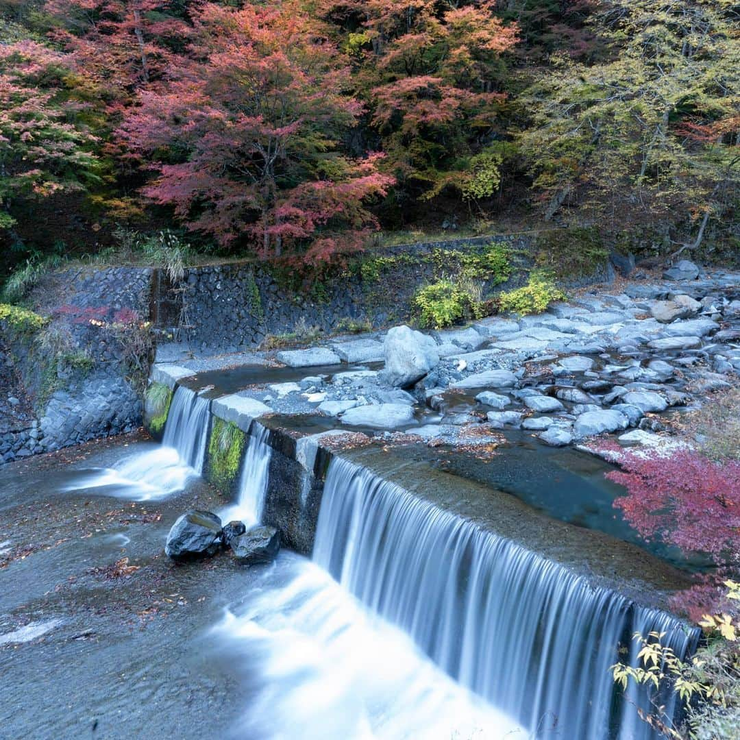 静岡市地域おこし協力隊 のインスタグラム