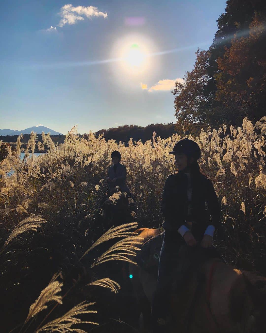 鈴木淳子さんのインスタグラム写真 - (鈴木淳子Instagram)「🌾🌾🌾🐎 @hello_takumi と仲良くなったのは、なんと同じ乗馬クラブに行っていた！ っていう、奇跡的な共通点に気が付いたから。 年齢が違うから、当時は知り合ってなかったけど、こうやって大人になってから そんな珍しい共通点のある人に仕事現場で偶然気が付いて、いやぁ、ほんとご縁を感じずにはいられない。  秋冬の御殿場の、このススキの原っぱ見たさに車を走らせた日。 馬の匂いと森の空気を目一杯吸い込めるのが、なんと贅沢なことだったのかに気が付けたのは、20年以上経った今だから。  photo by @windyrider   #virtusridingclub @virtusridingclub #御殿場 #乗馬 #富士山 #ホーストレッキング #乗馬クラブ #ヴィルタスライディングクラブ」11月17日 22時46分 - junkosuzuki