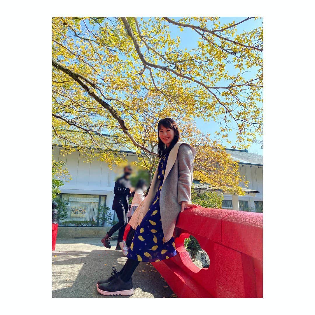 のインスタグラム：「. 冬が来る前に 赤や黄色に色づく景色を 楽しんでおかないとね✨ . #trip #旅行  #紅葉 #紅葉狩り #🍁  #familytime #家族旅行   #japan #フリーアナウンサー #實石あづさ」
