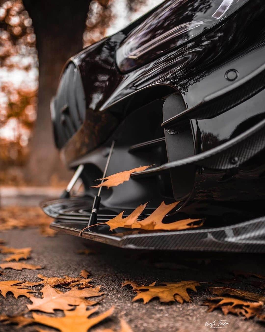 CARLiFESTYLEさんのインスタグラム写真 - (CARLiFESTYLEInstagram)「Mercedes AMG GT R Pro 🍁🍂 Photo @photo.tdr - @enescu_sbk @racebox.ro #carlifestyle」11月17日 22時56分 - carlifestyle