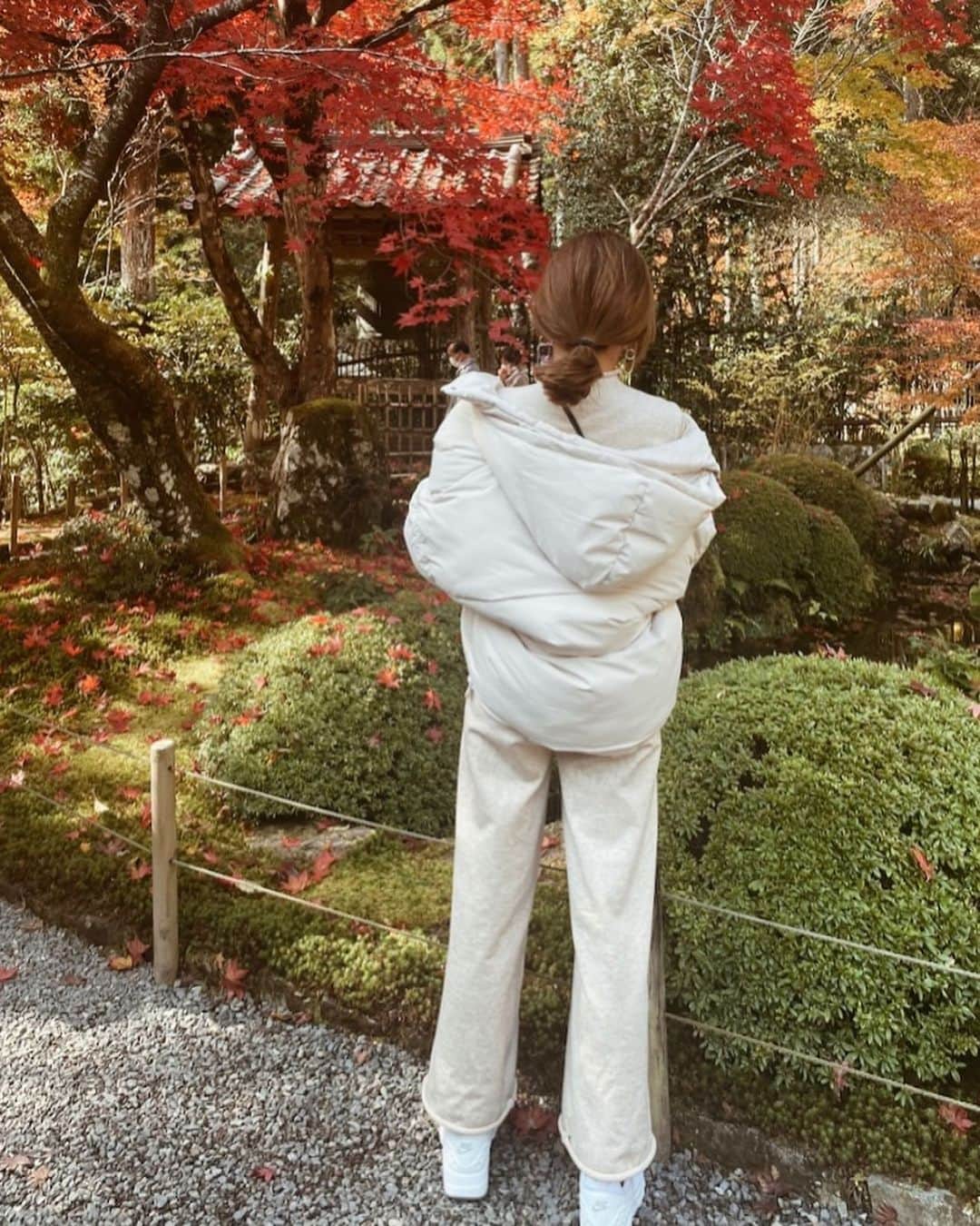 Erikaさんのインスタグラム写真 - (ErikaInstagram)「女子旅 in #京都大原   大原三千院で有名な、大原に 紅葉を見に行ってきました🍁  大阪からは電車とバスを乗り継いで行きましたが、  京都の都会で観る紅葉と一味違う、 紅葉が味わえて、 めちゃくちゃ素敵旅  お寺を何ヶ所か巡り、 沢山歩きました。 ほんと、自然に囲まれた大原、 のどかな風景にほんとマイナスイオンたっぷり、日頃の疲れも吹っ飛んでました。  寒暖差があるので、行かれる際は 夜は防寒対策をおすすめします。 でも、この寒暖差が、美味しい野菜を作ってくれるみたいです🍆🍠🌰🥕  #shesawohara#kyotoohara#京都#京都観光#京都観光スポット #京都観光地 #三千院#三千院紅葉 #三千院参道 #japan #kyoto#kyotojapan #紅葉狩り #紅葉スポット #紅葉ライトアップ #紅葉見頃 #紅葉シーズン#女子旅#大原女#ママ旅」11月17日 23時06分 - 911erika