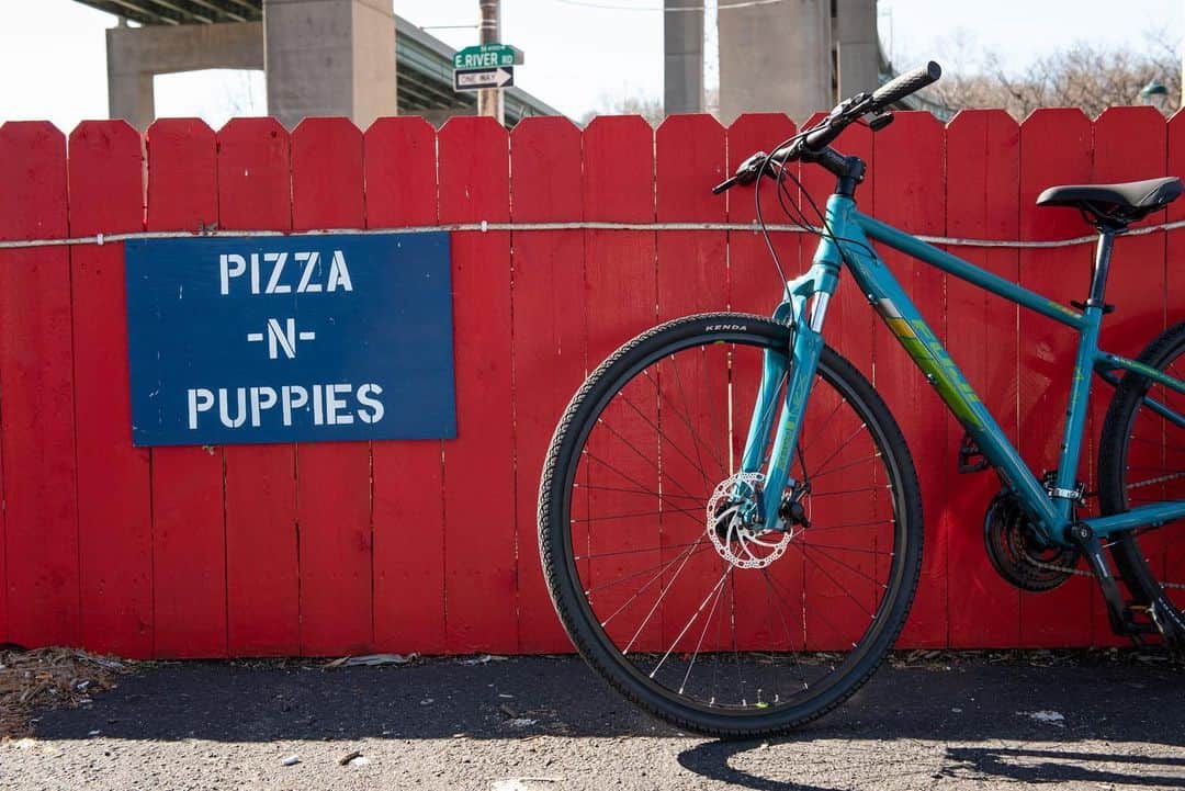 Fuji Bikesさんのインスタグラム写真 - (Fuji BikesInstagram)「🍕 + 🐶 = Best. Ride. Ever.  #puppies #pizza #bike #bikelife #puppiesforall」11月17日 23時42分 - fujibikes