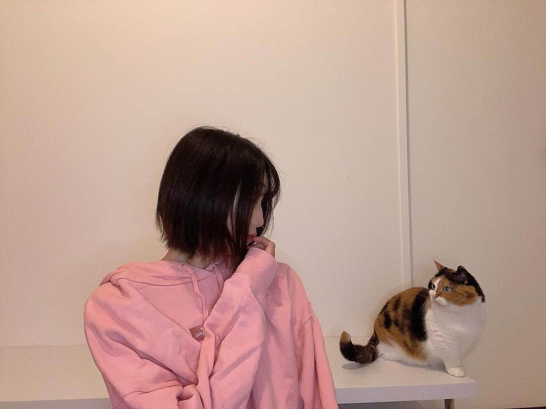 のインスタグラム：「おやすみなさい🌙*ﾟ . . . . . #love #follow #followmeJP #followme #Japanesegirl #japan #instagood #instadiary #instalike #instamood #instalove #instafollow #instapic #instaphoto #tokyo #东京 #粉我 #偶像 #赞」