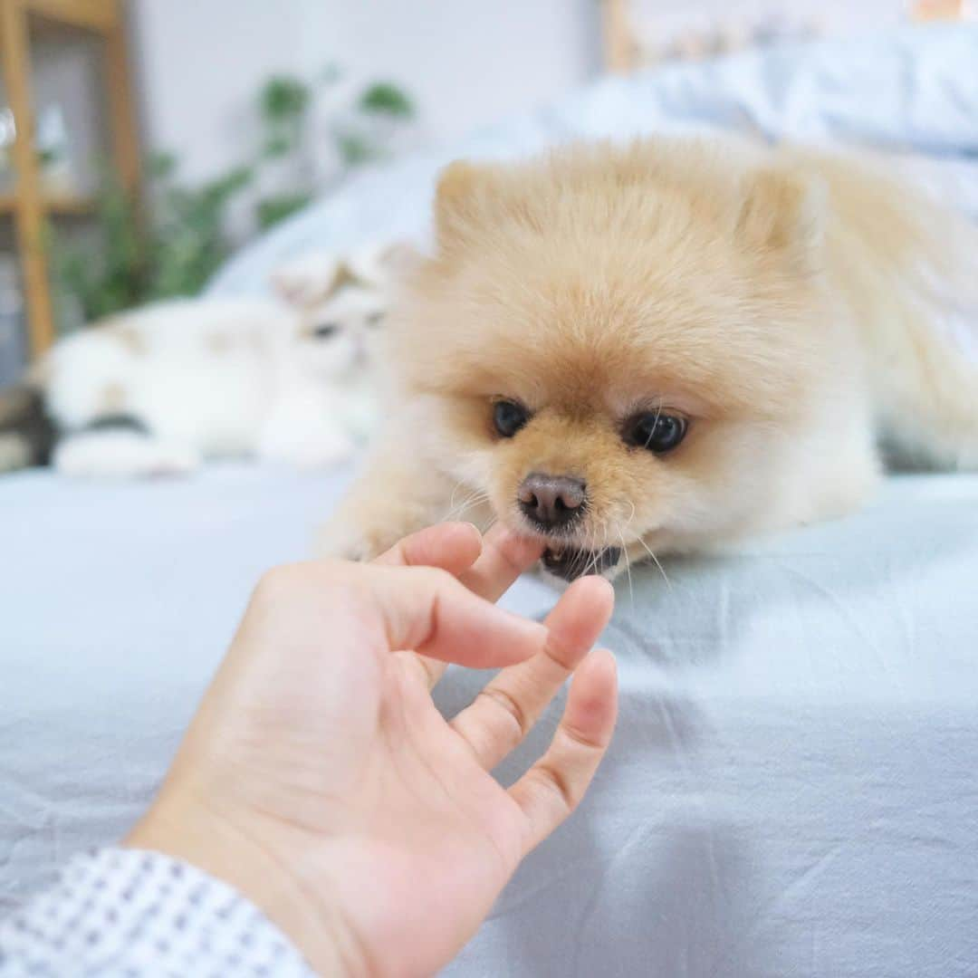 むじさまさんのインスタグラム写真 - (むじさまInstagram)「Yummy yummy 😋  #mujisama」11月17日 23時54分 - mujisama