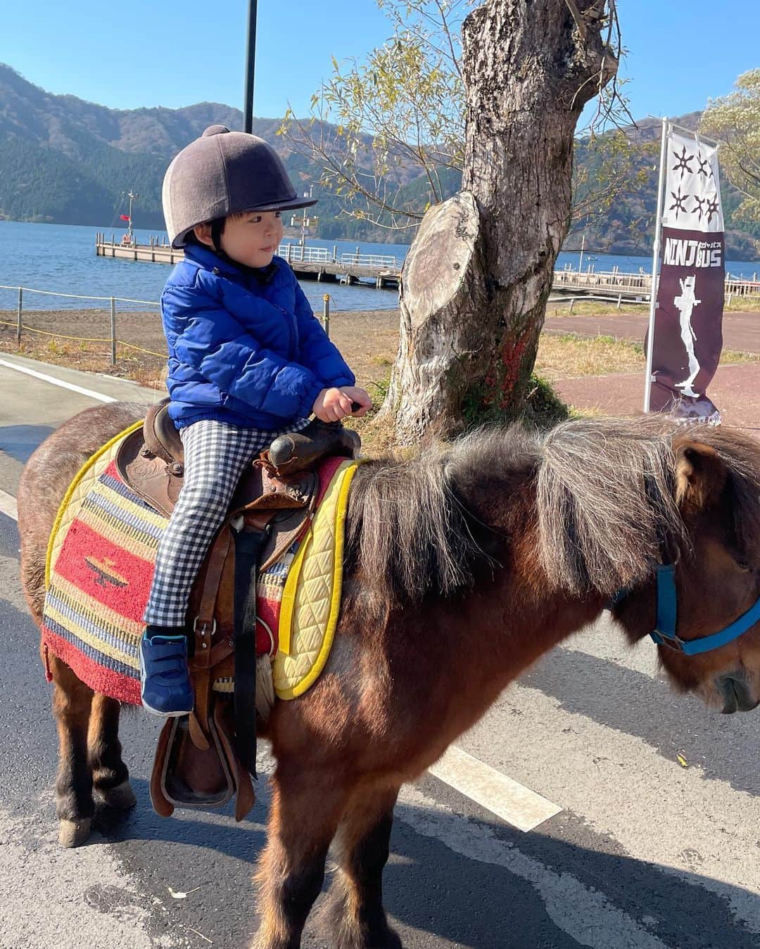中岡由佳さんのインスタグラム写真 - (中岡由佳Instagram)「芦ノ湖畔でポニーに乗りました。可愛い。 #hakone #ashinoko」11月18日 0時04分 - yuka_nakaoka
