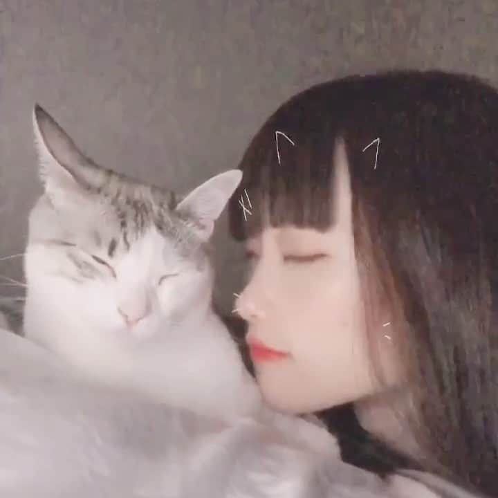 阿知波妃皇のインスタグラム：「猫になったんだよなちみは ♩」