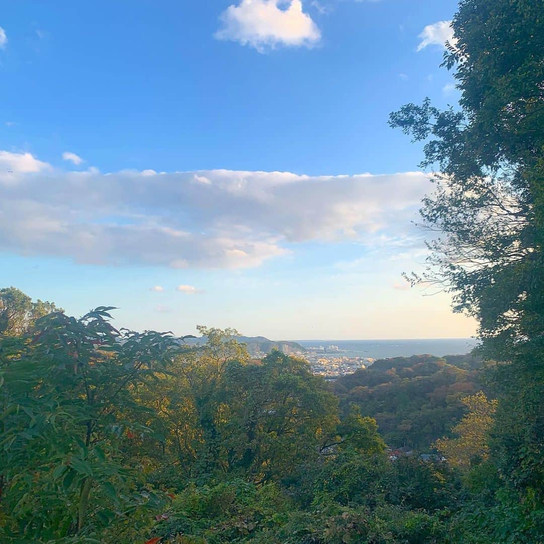 ノーマさんのインスタグラム写真 - (ノーマInstagram)「束の間の紅葉。美しかったぁ。 山をハイクした後は、斉藤幸平さんの新著「人新世の資本論」の感想をシェアしながらディスカッション。 咀嚼時間に興奮してまう本にたくさん出合わせて頂いている2020年。知りたいこと、分野を越えて聞いてみたいことが沢山です。 thank you for the nice recommendations & tour @taka_tsujii ⛰🏂🌈  #kamakura #紅葉 #人新世の資本論」11月18日 1時11分 - noma77777