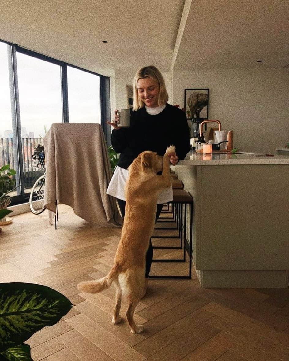 Estée Lalondeのインスタグラム：「I’d be lost without this bitch 🐾 @doggonamedeffie  ~ (My dryer is broken #blanket #dryingrack)」
