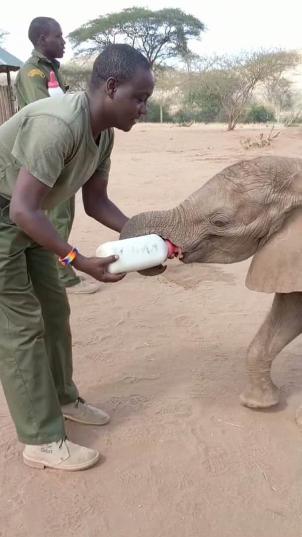 ナショナルジオグラフィックのインスタグラム