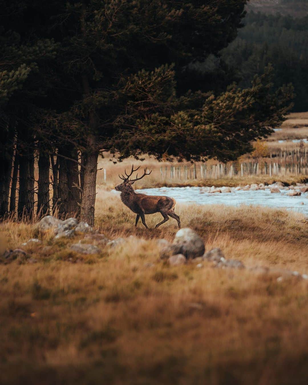 のインスタグラム：「You never know what you'll find when you take the trail less travelled. 🍁#MRPORTERinthewilderness  Photography by @leighbrun」