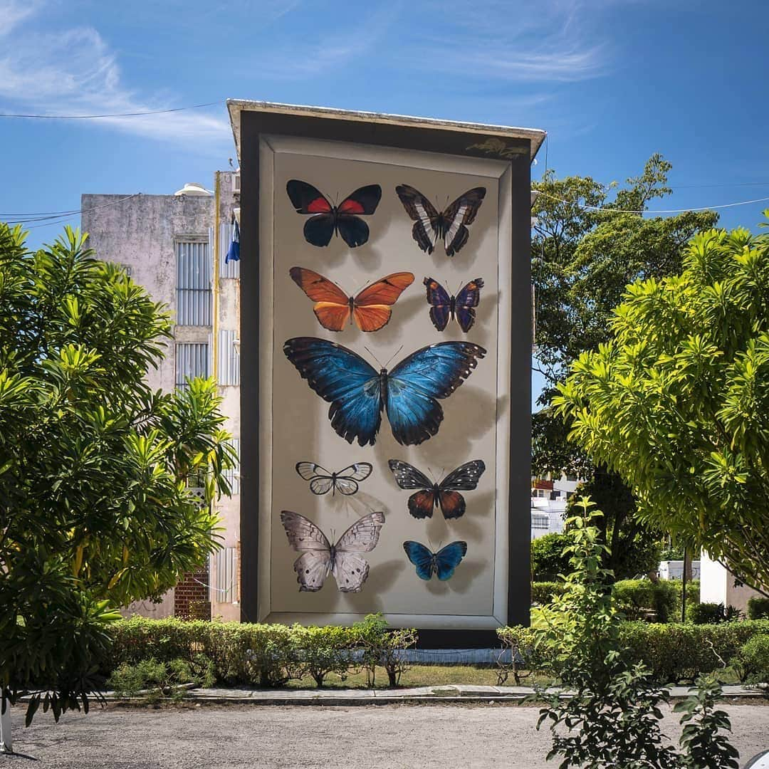 Instagramさんのインスタグラム写真 - (InstagramInstagram)「Mantra’s (@mantrarea) exquisite trompe l’oeil murals may deceive the eye, but the truth is that they’re informed by local entomologists across the 20 countries and four continents where he’s worked.⁣ ⁣ “Nature always mesmerized me. Not only sharing delicate forms, colors, details, but also introducing great mysteries. My paintings sit as a mirror highlighting this reality, and I’m forcing myself to translate those instants as pure as I witness them,” says the French painter.⁣ ⁣ The street artist’s hyper-realistic (and scientifically accurate) works — including many of butterflies in specimen cases — are painted on multi-story urban facades, totally freehand without using a projector or a grid, as a reflection of the role these fragile species play in the world’s biodiversity.⁣ ⁣ “My intention is to find an answer that can respectfully bring harmony in the place I’m painting. Each mural is the result of an endless quest for balance, and playing with perspective creates an interesting dialog with the architectural landscape. I’m trying to create not only a realistic and vivid mood, but also a poetic and romantic one.”⁣ ⁣ #ThisWeekOnInstagram⁣ ⁣ Art by @mantrarea photographed by @ogcaballero」11月18日 2時03分 - instagram