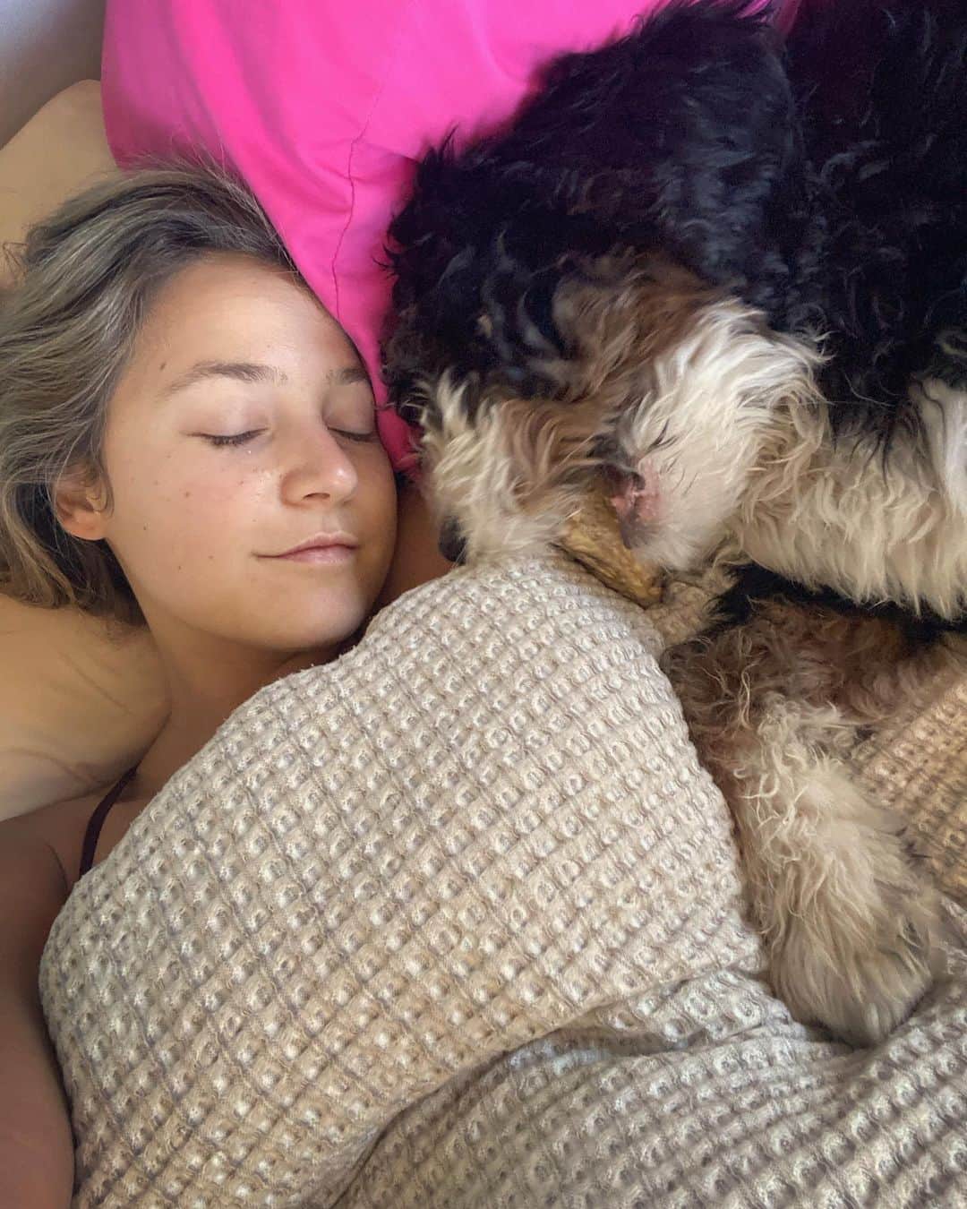 のインスタグラム：「Mornings with @moosechaga start like this. He didn’t sleep in bed at first. 🐶 Then I got weak and crumbled. Who else sleeps with their fur baby? @erikosterholm 💤」