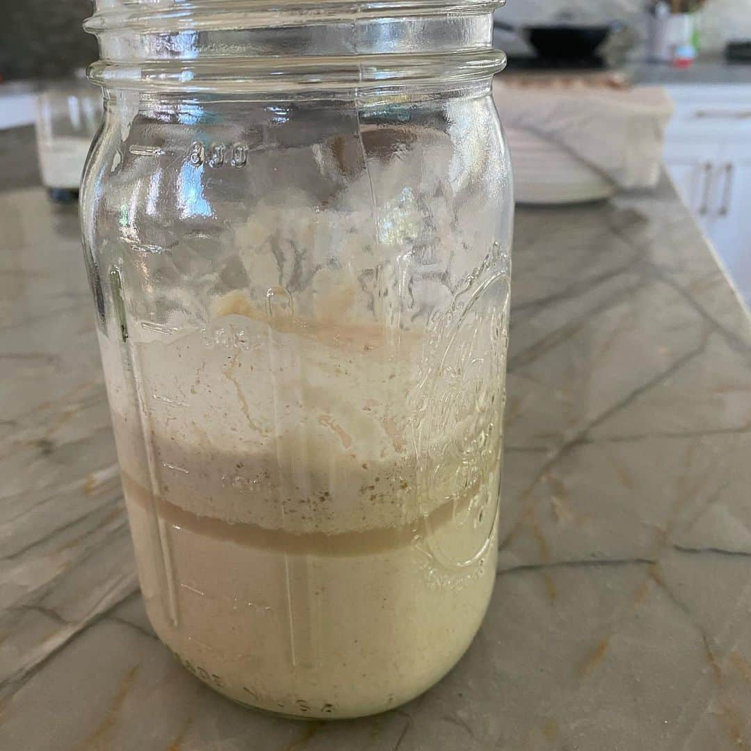 マーガレット・チョーさんのインスタグラム写真 - (マーガレット・チョーInstagram)「My sourdough starter Cho Sun Ho does this thing where he gets a layer of hootch near the middle! #bread #whatisit」11月18日 2時20分 - margaret_cho