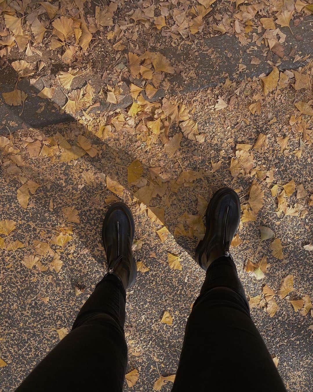May J.さんのインスタグラム写真 - (May J.Instagram)「A walk in November 🍂🍁 撮影の合間にイチョウ並木を見ながらお散歩。とっても綺麗だった〜💛 今日はリハーサル頑張ってきます！  #イチョウ並木を見ながら #GingkoTrees #Khaite #jbrandjeans  #TheRow」11月18日 13時14分 - mayjamileh