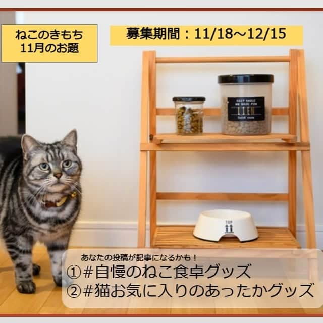 【公式】いぬのきもち・ねこのきもちのインスタグラム