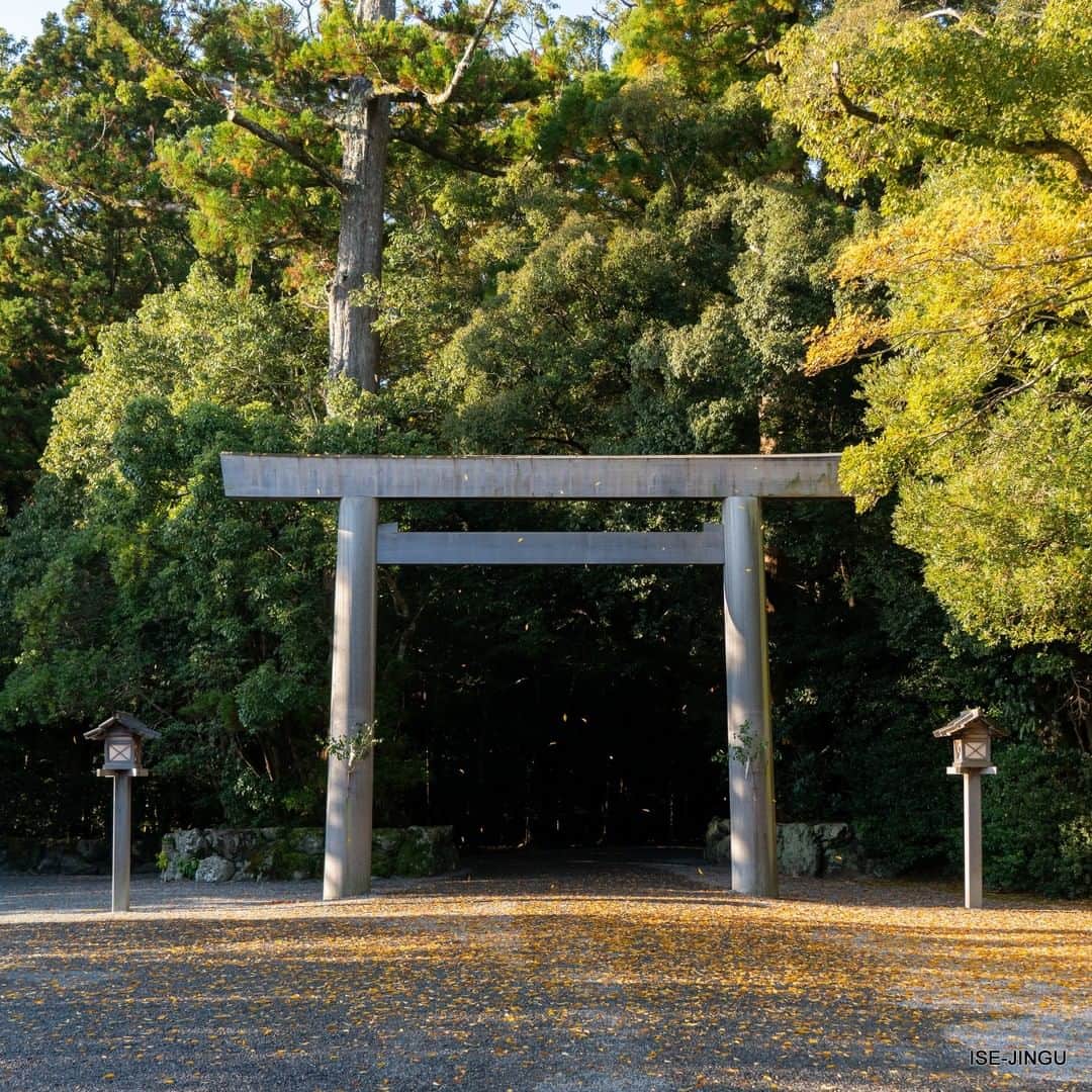 のインスタグラム：「#伊勢神宮 #神宮 #神社 #心のふるさと #外宮 #第一鳥居 #鳥居 #参道 #紅葉 #落葉 #秋 #ISEJINGU #JINGU #SOUL_of_JAPAN #japan #jinja #shinto #geku #torii #autumncolors」