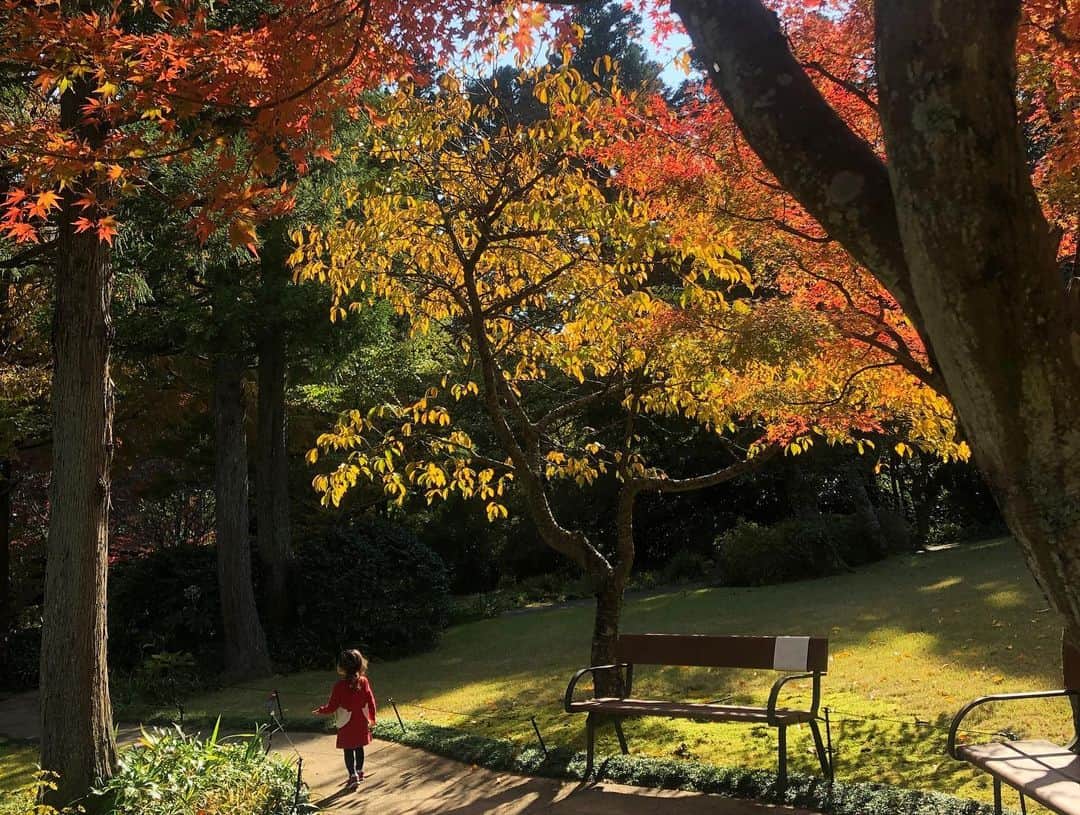 鈴木麻衣花さんのインスタグラム写真 - (鈴木麻衣花Instagram)「箱根へ。 秋の景色と気持ちの良い気候に心からリフレッシュ。 娘が遊べるようになったら行きたいと思っていた彫刻の森美術館、紅葉も綺麗で空が広くてとっても気持ちよかった♡ 帰り道に見れたボンヤリとハッキリ見える富士山が最高でした♡ #箱根旅行#富士山#箱根彫刻の森美術館」11月18日 12時21分 - maika0321