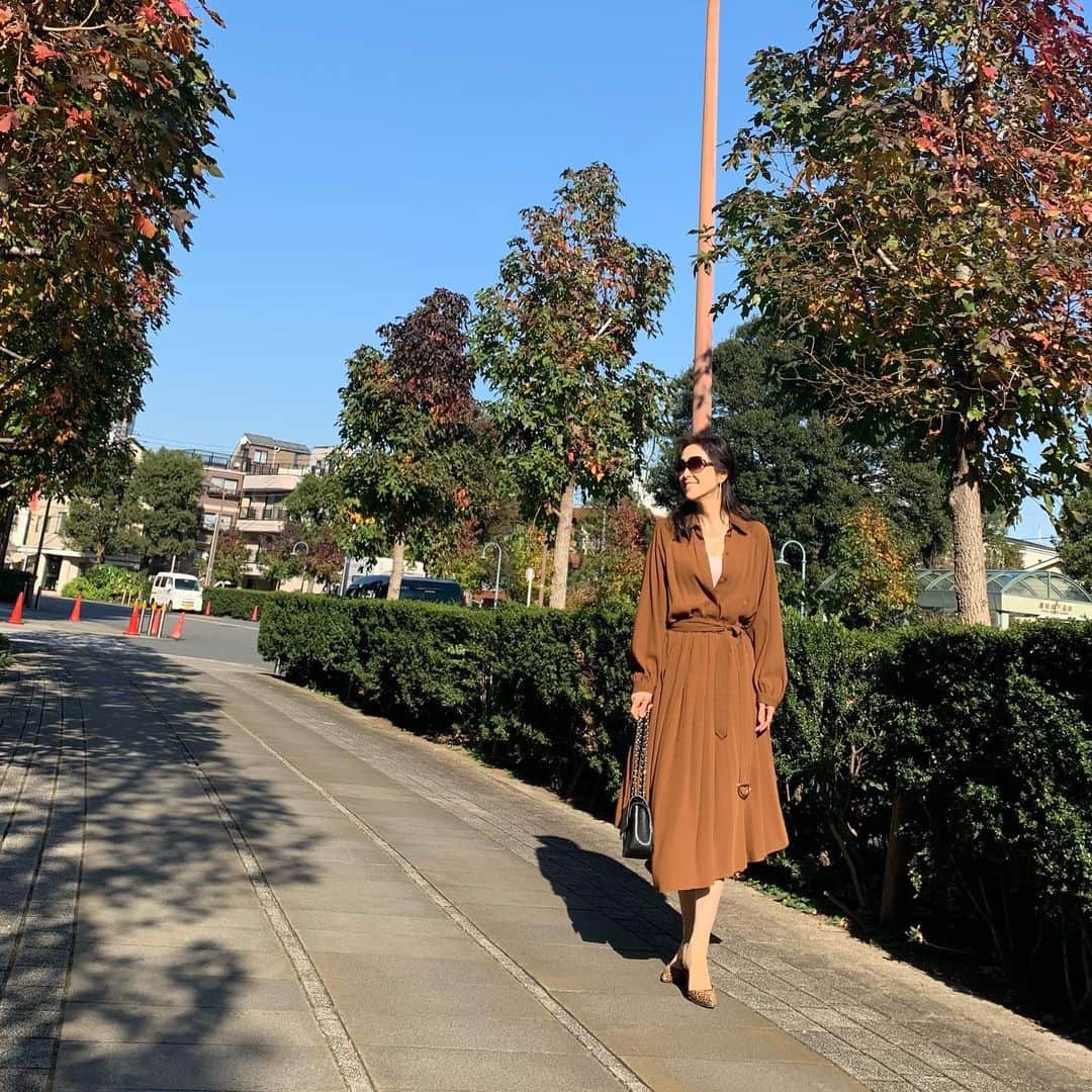 藤田陽子のグルメインスタ