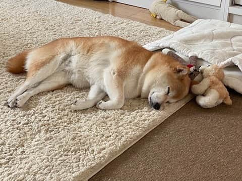 神奈月のインスタグラム