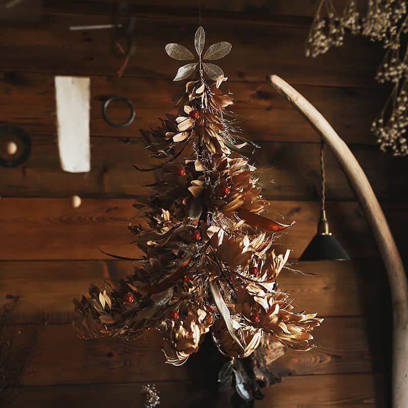 Re:CENO（リセノ）さんのインスタグラム写真 - (Re:CENO（リセノ）Instagram)「【マガジン】バラしたドライの植物たちを使って、クリスマスツリー作りに挑戦！ ・ こんにちは。なかはらです。  今年も目まぐるしく過ぎていき、 気がついたらもうすぐ年末。  そろそろ部屋を片付けたり、 掃除をしないといけない時期に なってまいりました。  我が家ですこぶる評判が 悪い枯れ木がありまして、 これもなんとかせねばなと...。  道でたまたま切られていた木をもらい、 放置していたらいい感じの 枯れ木になったという代物。  捨ててしまってもいいのですが、 せっかくなので何かに使えないかと。  少し早いですが、クリスマスが 控えているので、ツリーでも作っちゃおう！  ということで今回は、枯れ木やドライの 植物を解体して、クリスマスツリーに変身させます＾＾  詳しくは、商品のタグからご覧いただけます。 ぜひチェックしてみてください◎  #リセノ #インテリア #ベンチ #スツール #ダイニング #ラタン #インテリアショップ #おうちづくり #暮らし #暮らしを楽しむ #暮らしを整える #receno #interior」11月18日 12時45分 - receno.interior