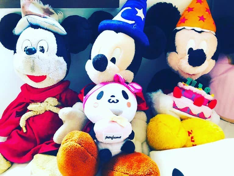 永野沙耶のインスタグラム：「今日は、ミッキー＆ミニーのスクリーンデビュー日🐭🌼💕 去年のこの日に新たなミッキーをお迎えしたなぁ(*´▽｀*)❤  #ディズニー #ミッキーマウスの誕生日」