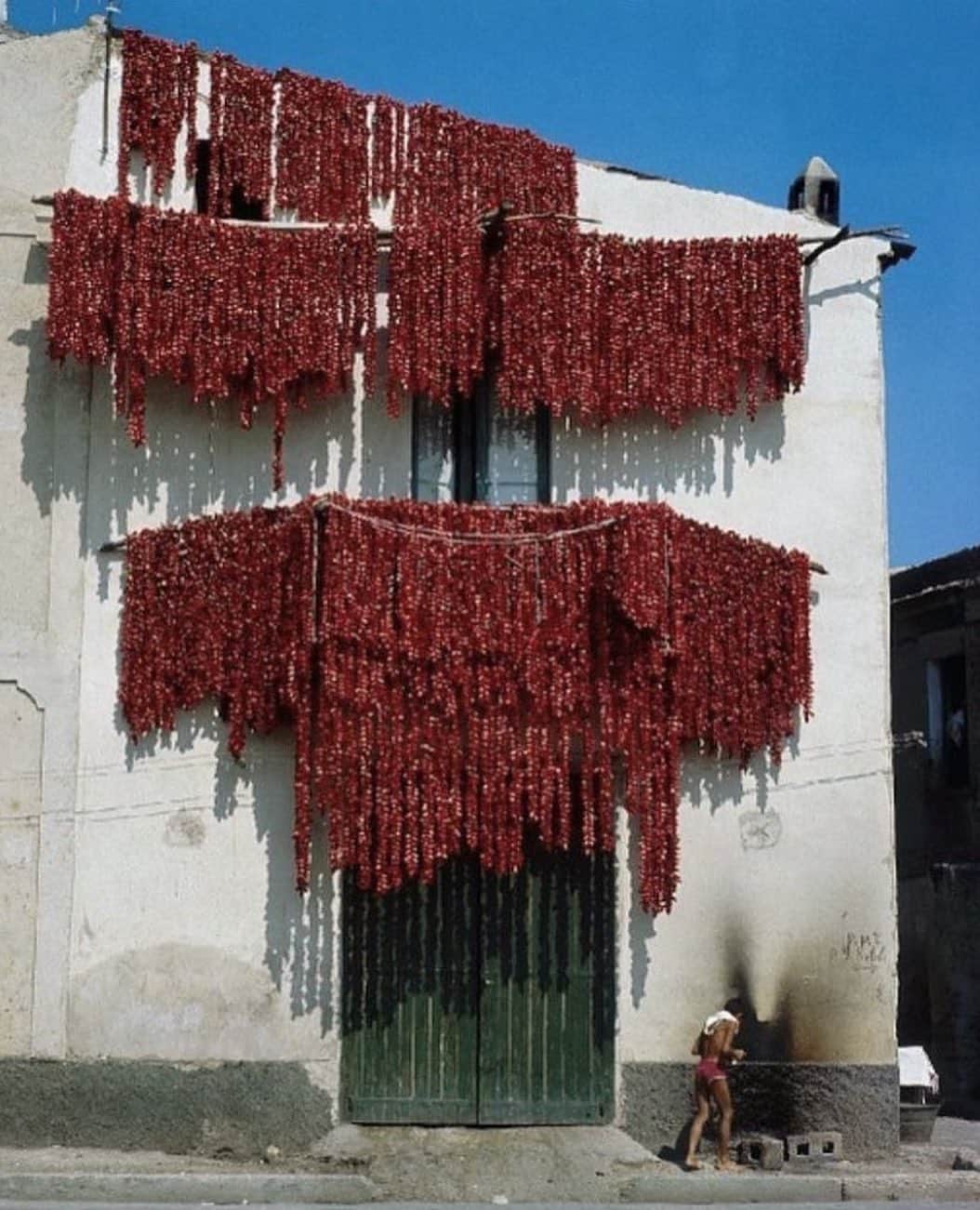 AnOther Magazineさんのインスタグラム写真 - (AnOther MagazineInstagram)「An impressive display of tomatoes hanging out to dry in Puglia, Italy, 1970 🍅 ⁠⠀ ⁠⠀ RG @slow_roads, @steffan 🔁」11月18日 5時03分 - anothermagazine