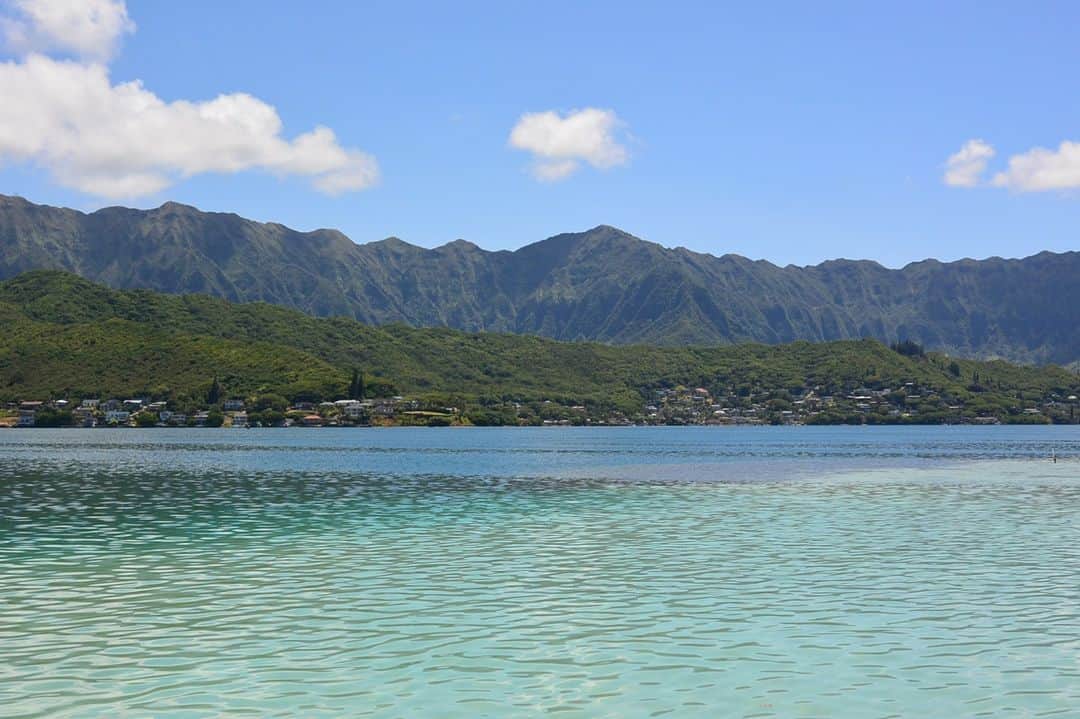 Luxury Cruise by Captain Bruceのインスタグラム：「天国の海🐢とコオラウ山脈⛰️　ハワイ🌺は海も山も美しい島だな〜とこの組み合わせを見ていると思います。⁠ ⁠ 今週土曜日午前9時からのオンラインツアーでも、この絶景をライブお届けします🤙 参加のお申し込みを現在受付しております🐟🐡🐢ぜひご参加くださいませ〜⁠ ご予約はこちらから⬇️⁠ https://tengokunoumi.com/tour-online.php⁠ ⁠ #ハワイ から #ライブ配信⁠ ⁠ #captainbruce #kaneohesandbar #hawaii #oahu #ahuolaka #ahuihou #ocean #water #island #aloha #havealohawilltravel #hawaiiinstagram #キャプテンブルース #天国の海オンラインツアー #天国の海 #サンドバーツアー #アフオラカ #ハワイ大好き #オアフ島 #絶景 #海」