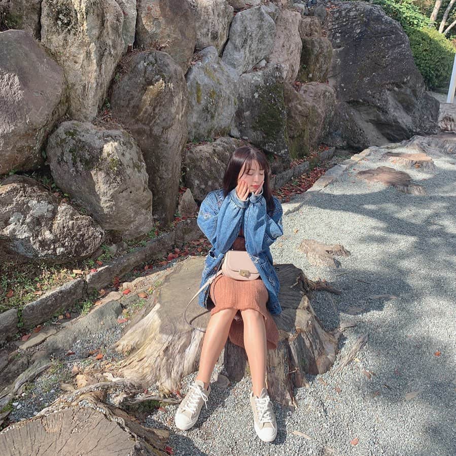竹本茉莉のインスタグラム：「. 切株のベンチ🌲 秋って茶色い写真 ばっかりだ…！」
