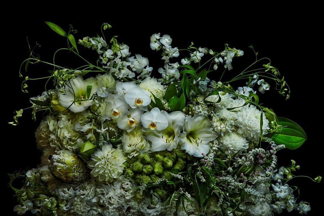東信のインスタグラム：「Flowers #amkk #amkkproject #makotoazuma #azumamakoto #東信花樹研究所 #東信 #jardinsdesfleurs #shiinokishunsuke #flowerart #flower #flowers」