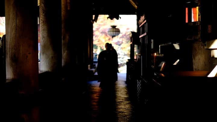 奈良 長谷寺 / nara hasederaのグルメインスタ