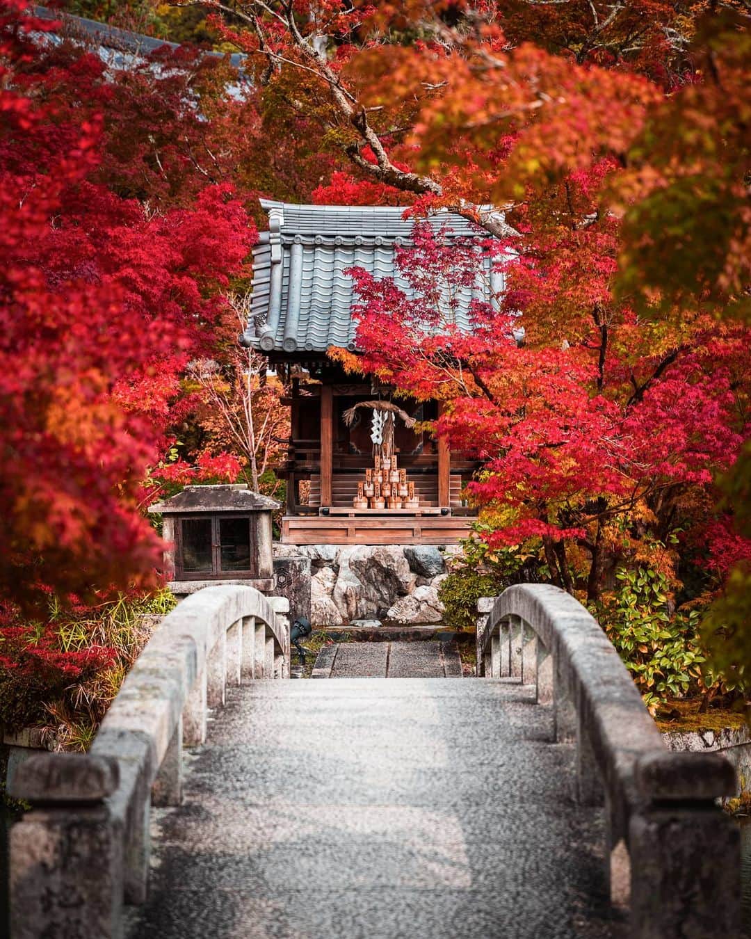 Joshさんのインスタグラム写真 - (JoshInstagram)「- So close, yet so far. This bridge I'll never cross. Where shall I go?  . . . . . #japan #japanawaits #japan_vacations #explorejapan #discoverjapan #createexplore #autumncolors #autumn #紅葉 #京都観光 #京都」11月18日 8時45分 - joshtaylorjp