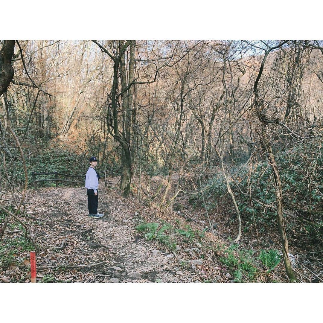 上村海成さんのインスタグラム写真 - (上村海成Instagram)「紅葉を見に行ったのに、全部落葉してました」11月18日 9時07分 - notuemura_yeskamimura