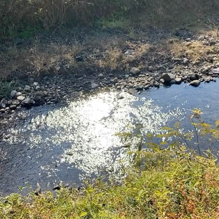 西山茉希のインスタグラム