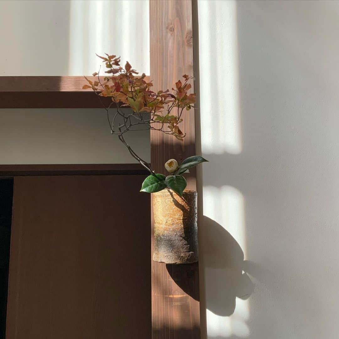 ヒロミチナカノさんのインスタグラム写真 - (ヒロミチナカノInstagram)「桃山時代の旅枕(銘..山守)に満天星躑躅と白玉椿❓を入れました。 #flowers #flowerinstagram  #白玉椿」11月18日 9時12分 - hiromichinakano_official